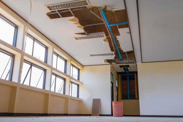 Best Mold removal after water damage  in Buena Park, CA