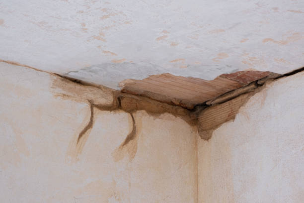 Best Water damage restoration process  in Buena Park, CA