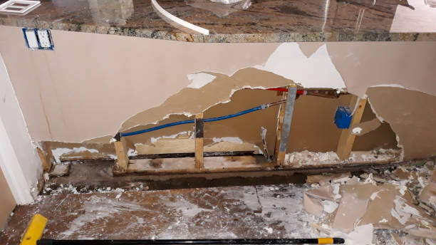Best 24-hour water damage restoration  in Buena Park, CA