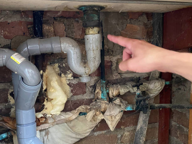 Best 24/7 water damage repair  in Buena Park, CA