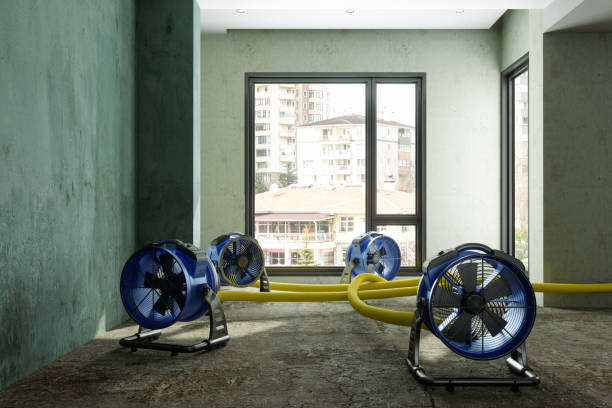 Buena Park, CA Water damage restoration Pros